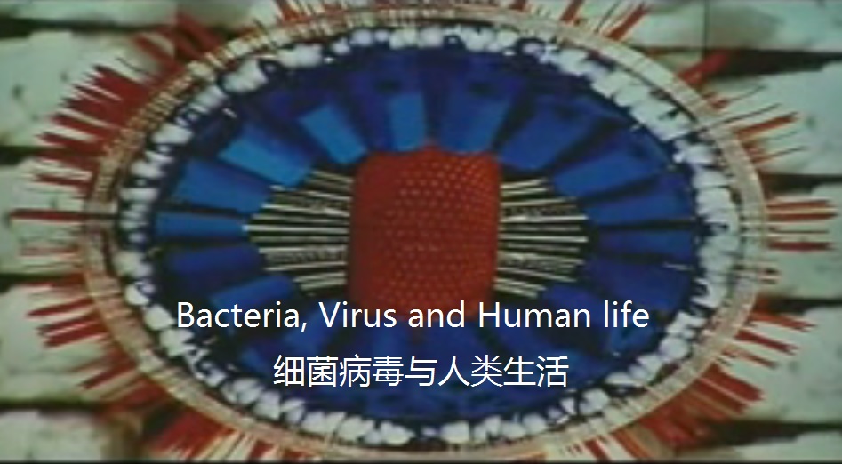 细菌病毒与人类
