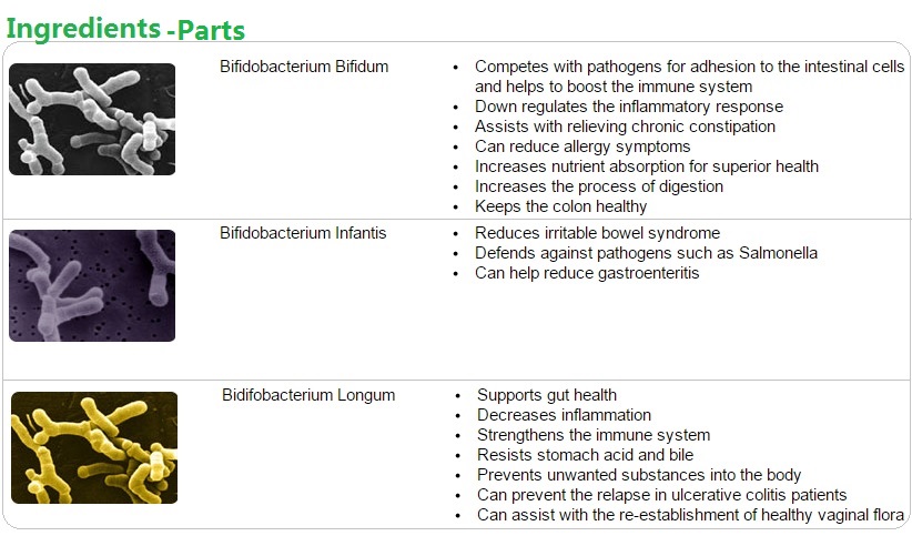 Bifidobacterium, probiotics