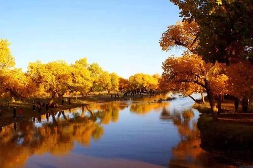 新疆金色河流Golden river in Xin Jiang China